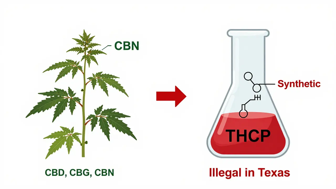 Vergleich von natürlichen Hanf-Cannabinoiden und chemisch hergestelltem THCP.