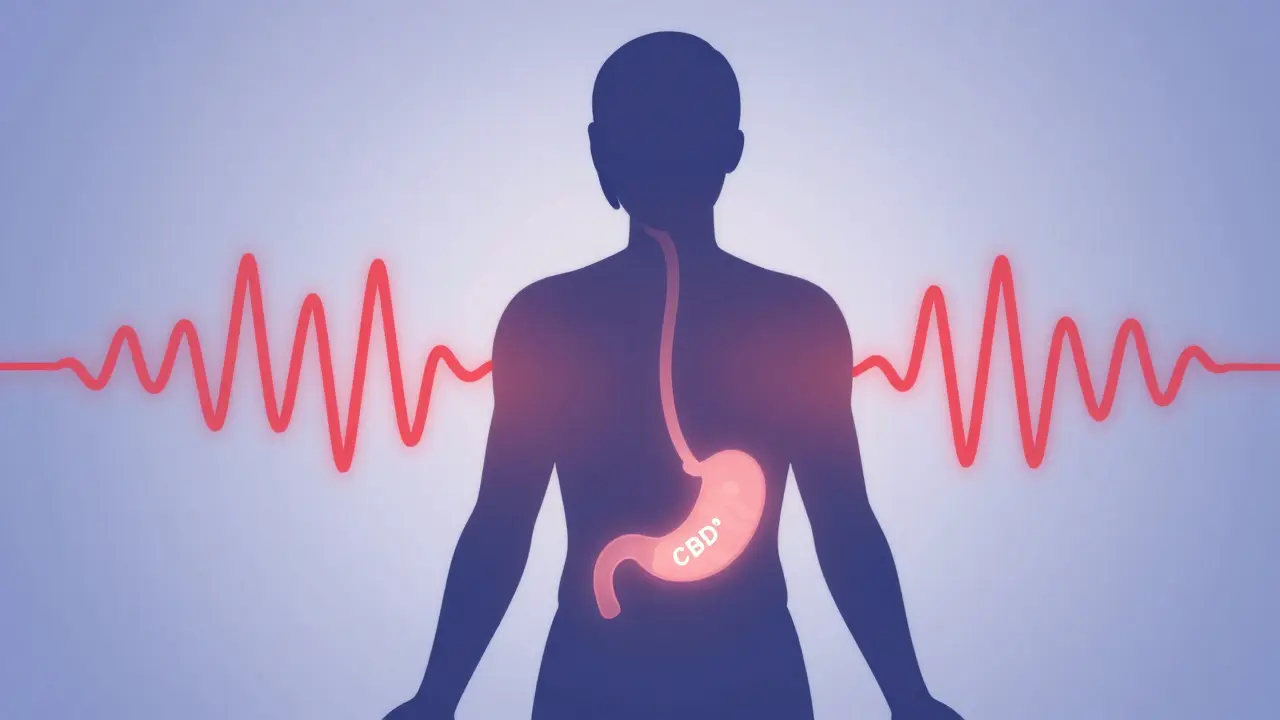 Silhouettierter Mensch mit sanftem CBD-Fluss vom Magen zum Gehirn, der Stresswellen auflöst, in blauen und lila Tönen.