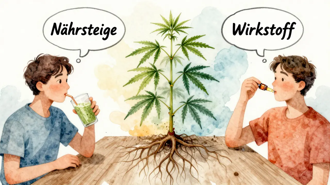 Two people on separate paths, one drinking hemp smoothie, one taking CBD oil, connected by a hemp plant.