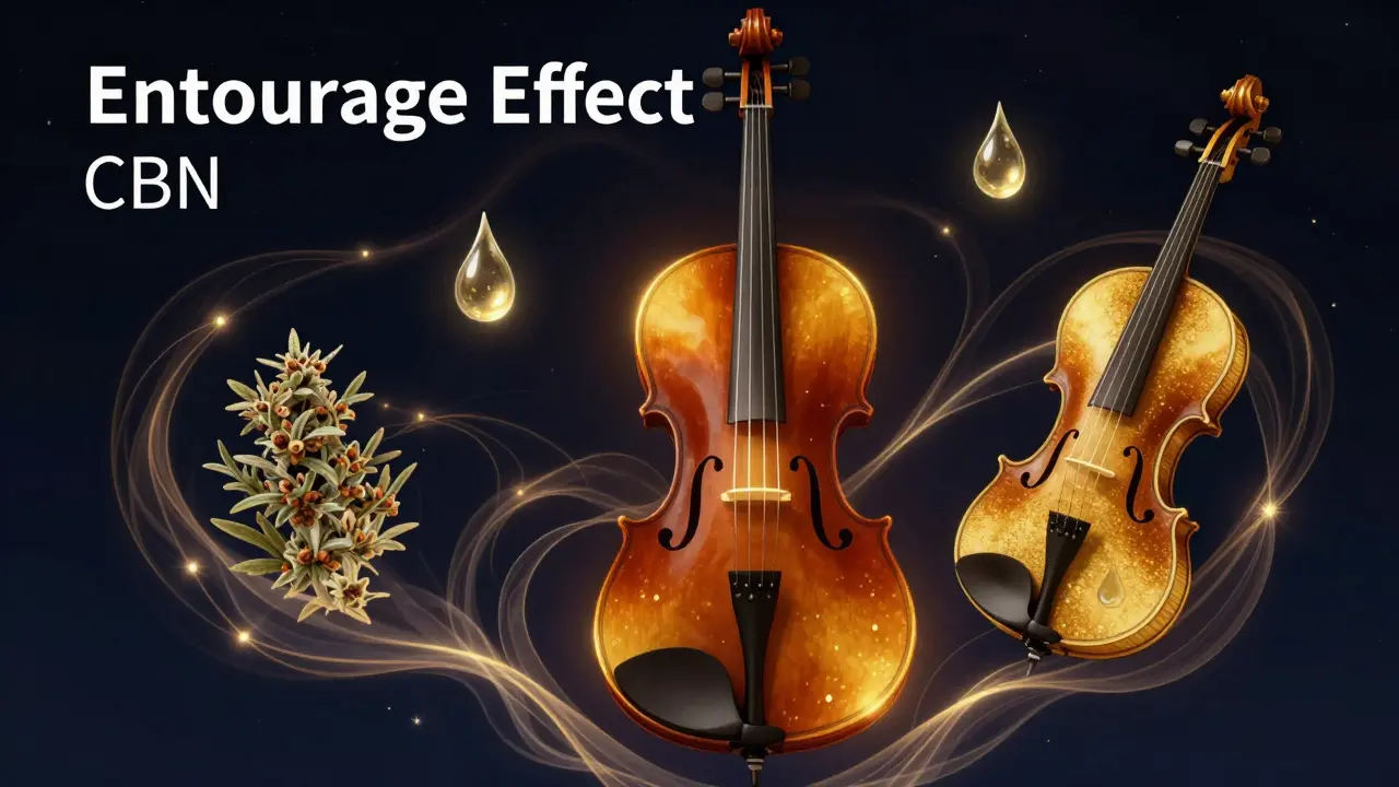 Konzeptuelle Darstellung des Entourage-Effekts mit Musikinstrumenten und Licht.