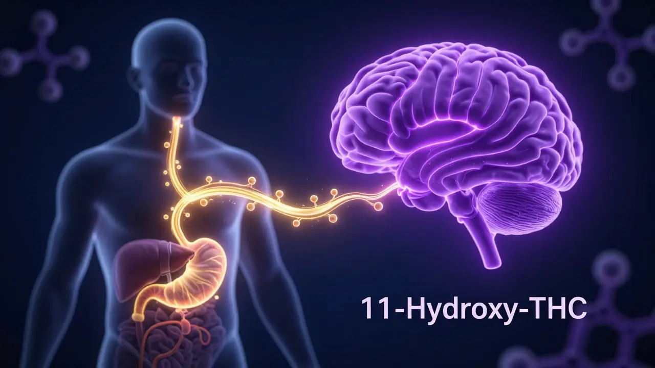 Künstlerische Darstellung des THC-Stoffwechsels von der Leber zum Gehirn.