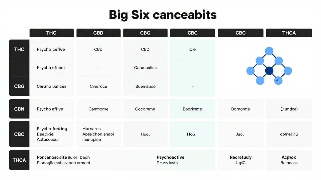 Die Big Six Cannabinoide: CBD, THC, CBG, CBN, CBC & THCA im Überblick